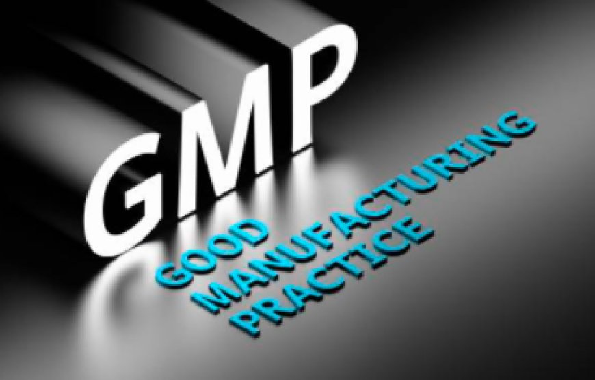 Global Quality Benchmark: Understanding WHO GMP Certification