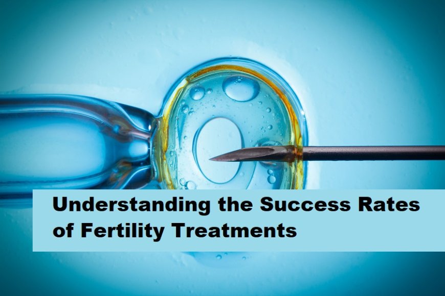 Understanding the Success Rates of Fertility Treatments