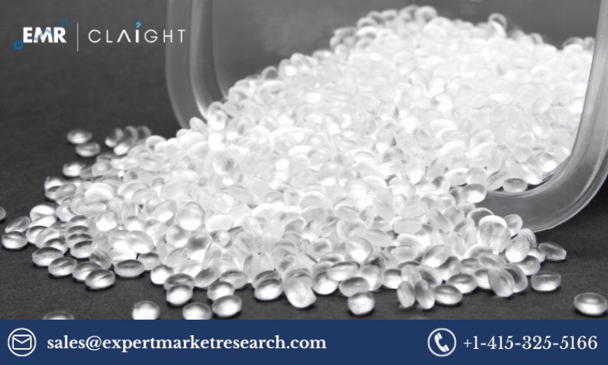 Unlocking the Future: Polyethylene Furanoate Market Insights