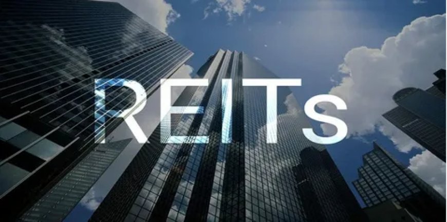 Exploring a Career in REITs: Is It the Right Path? May 2024 Edition