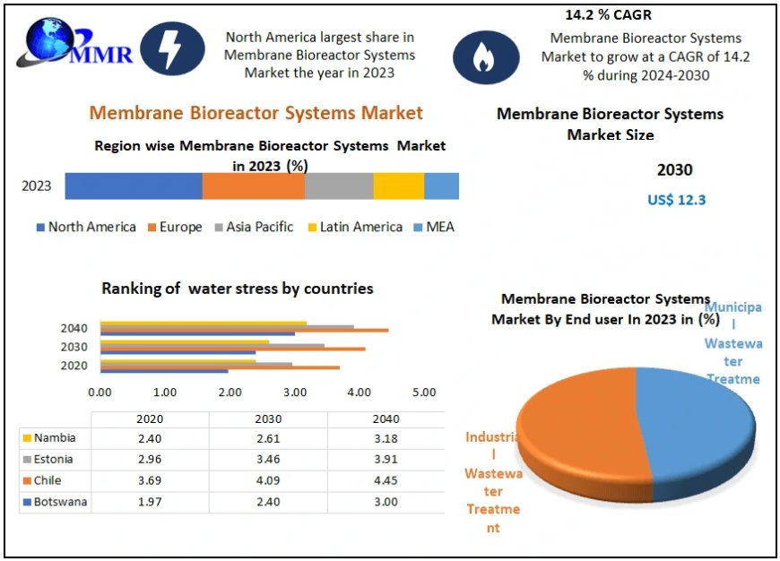 Membrane Bioreactor Systems Market Tomorrow's Tapestry: Market Size, Share, and Emerging Technologies | 2024-2030