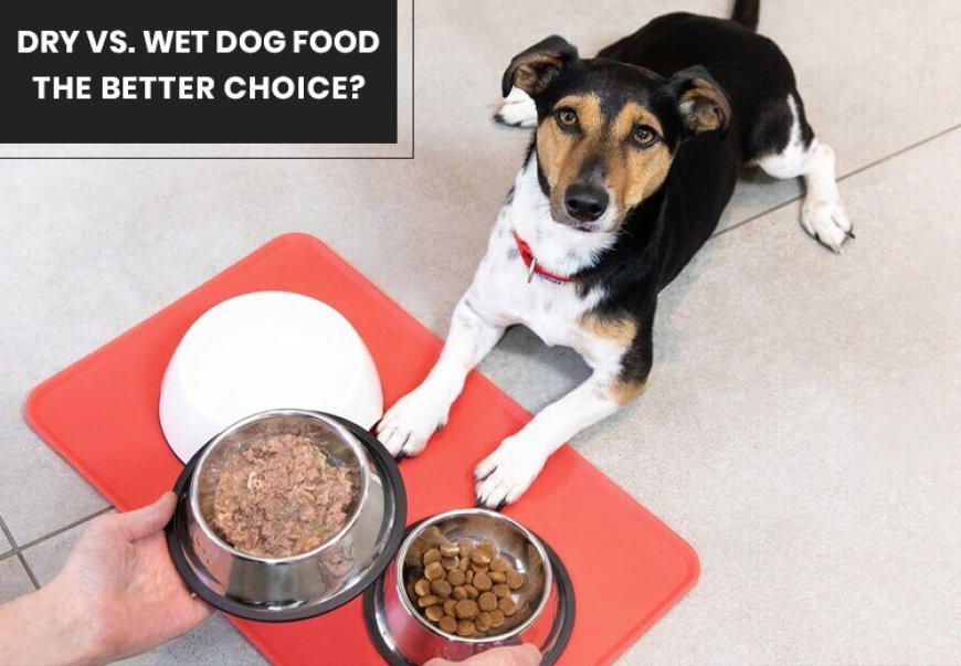 Dry vs. Wet Dog Food: Which is the Better Choice?