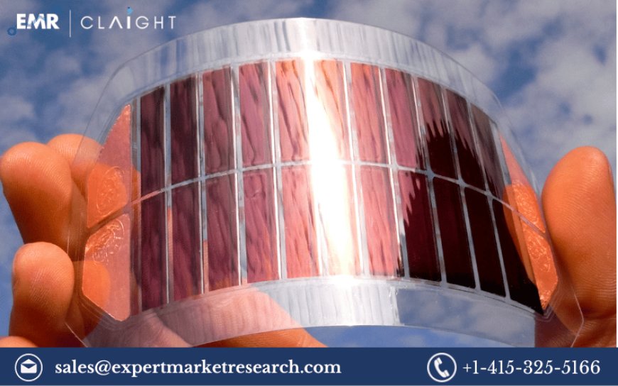 Global Flexible Glass Market: Projected Growth and Key Insights (2024-2032)