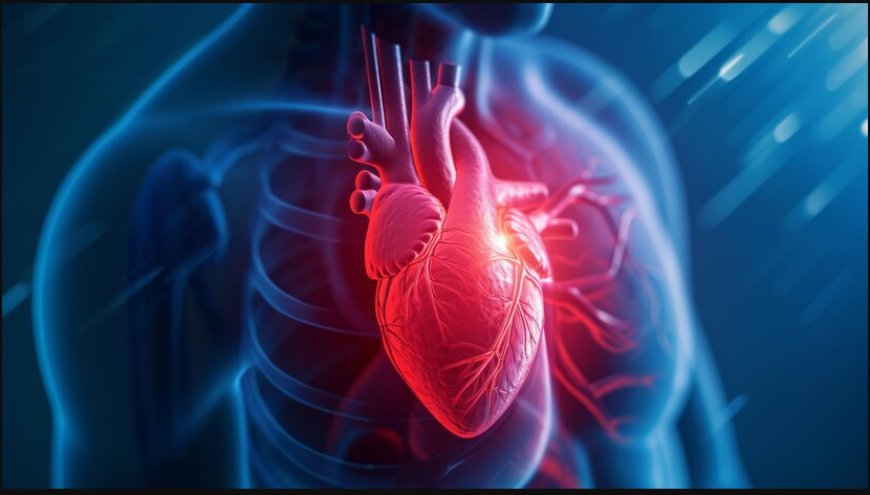 Left Ventricle Function: What Is A Normal Ejection Fraction By Age?