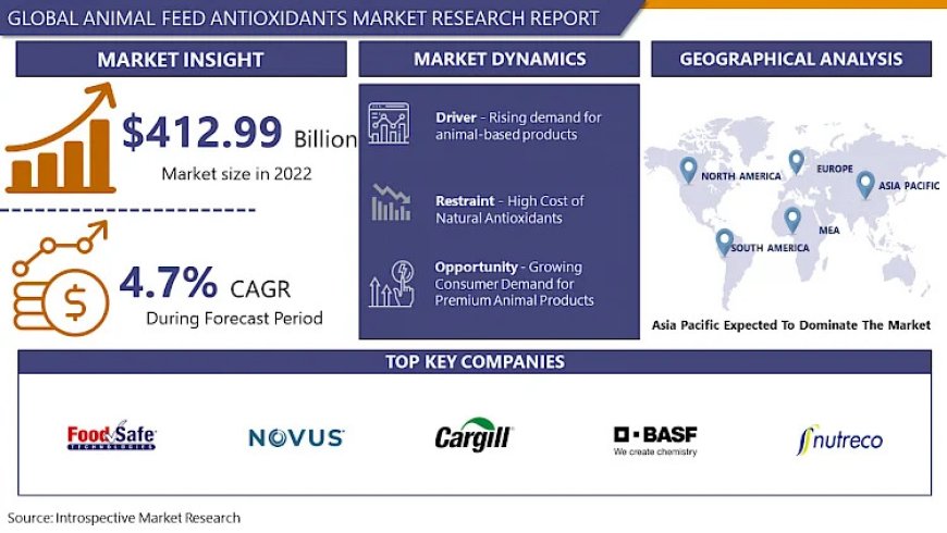 Global Animal Feed Antioxidant market - Growth, Trends, Industries, and Forecast (2024 - 2032)