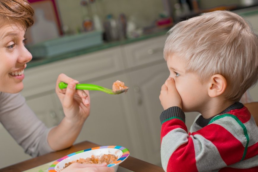 Understanding Feeding Therapists: A Comprehensive Guide