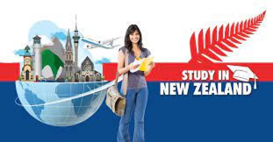 Why Opt for Glocal Opportunities as Your Study Consultants in New Zealand?