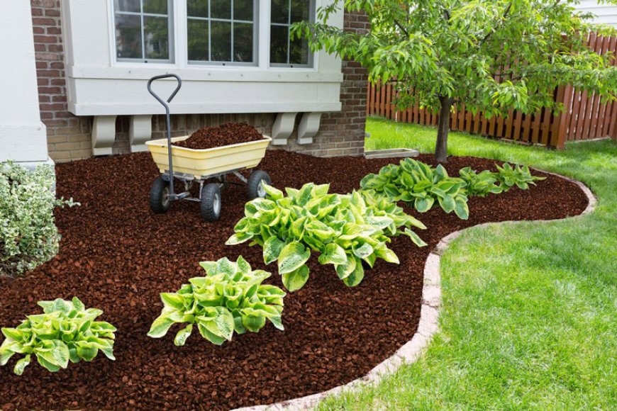 Rubber Recycled Mulch: A Sustainable Choice for Your Garden