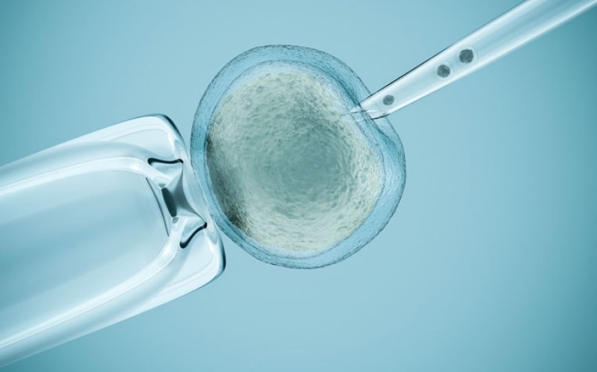 What Fertility Treatments are Available?