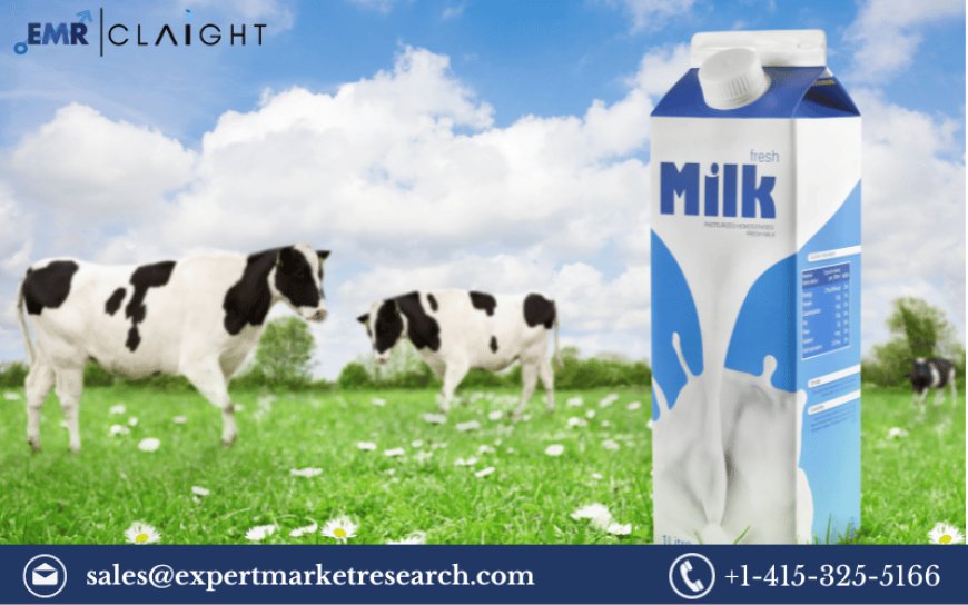 Top Trends and Innovations in the Milk Packaging Market for 2024 -2032