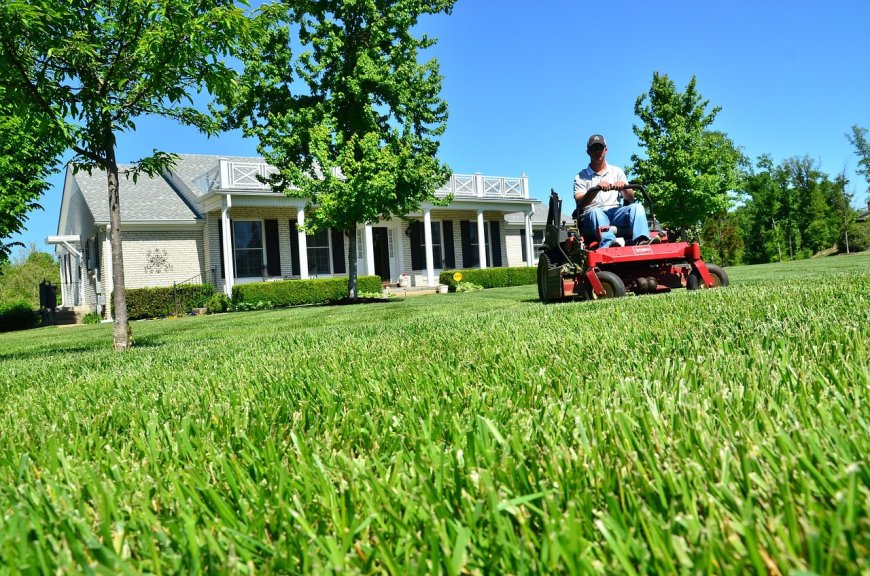 Where Can You Find The Best Lawn Care Service?