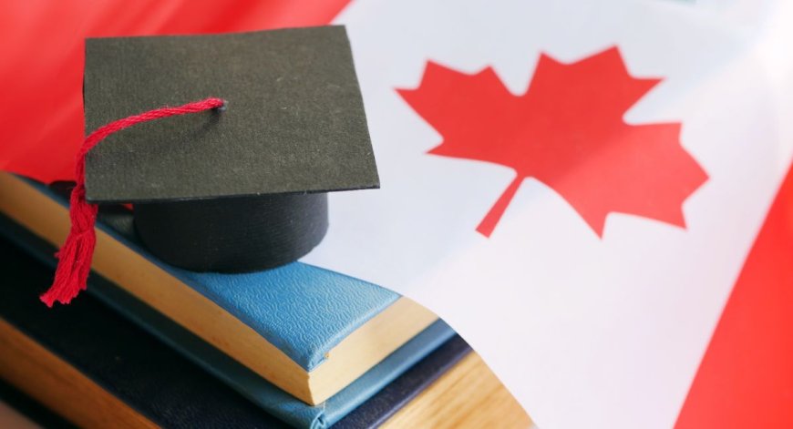 Popular Scholarships in Canada’s University of Guelph for International Students