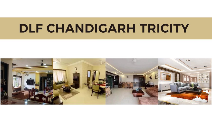 Discover the Best of Urban Living at DLF Chandigarh Tricity