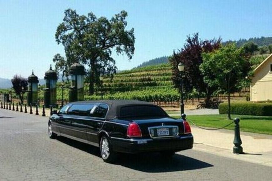 Exhilarate Your Wine Experience with a Wine Tasting Driver in Napa