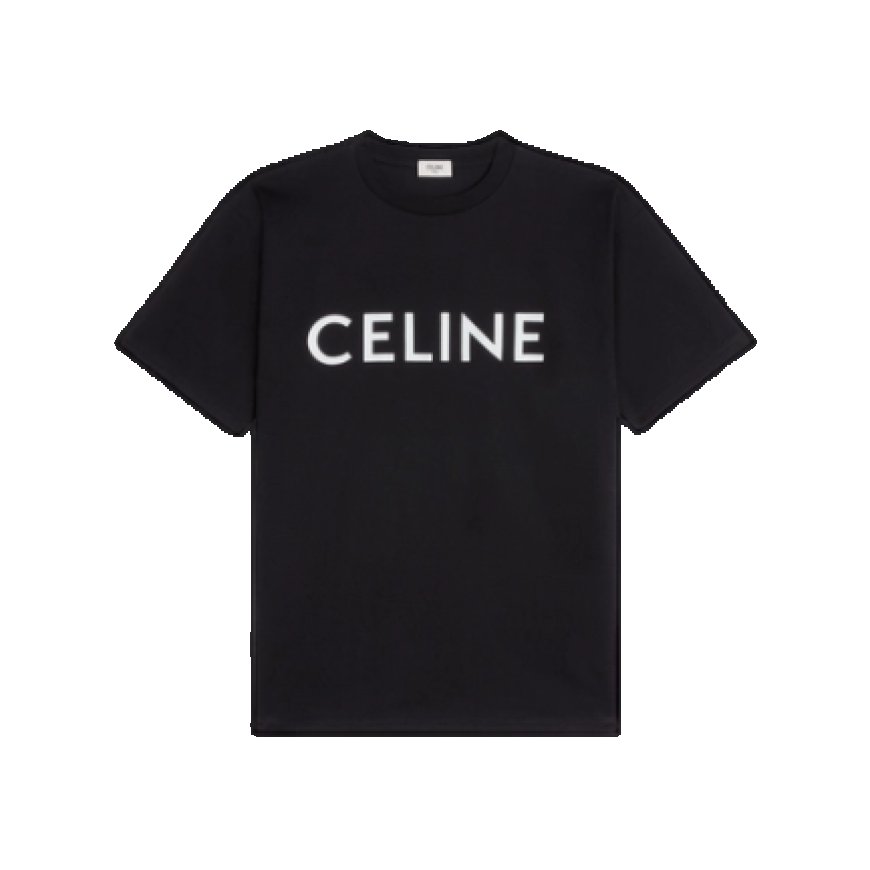 Celine Hoodies