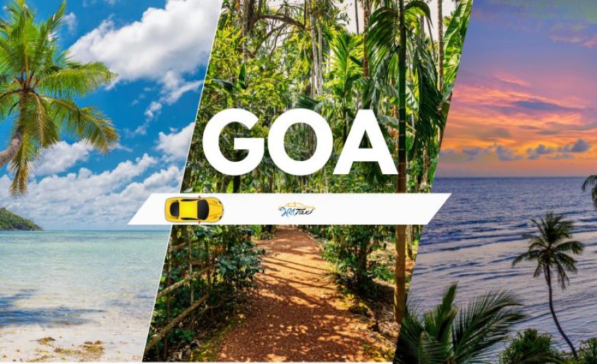 One Day North Goa Sightseeing Trip by Cab