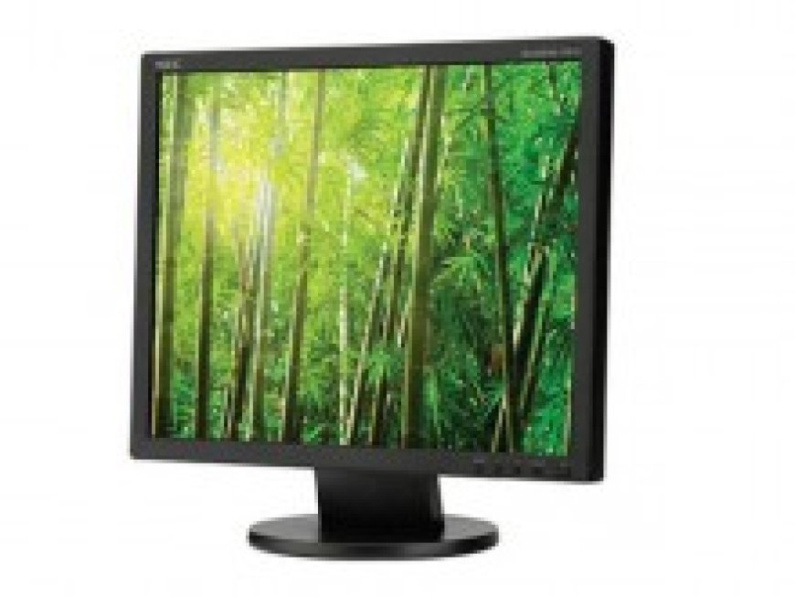 Affordable Computer Monitor Rental Services