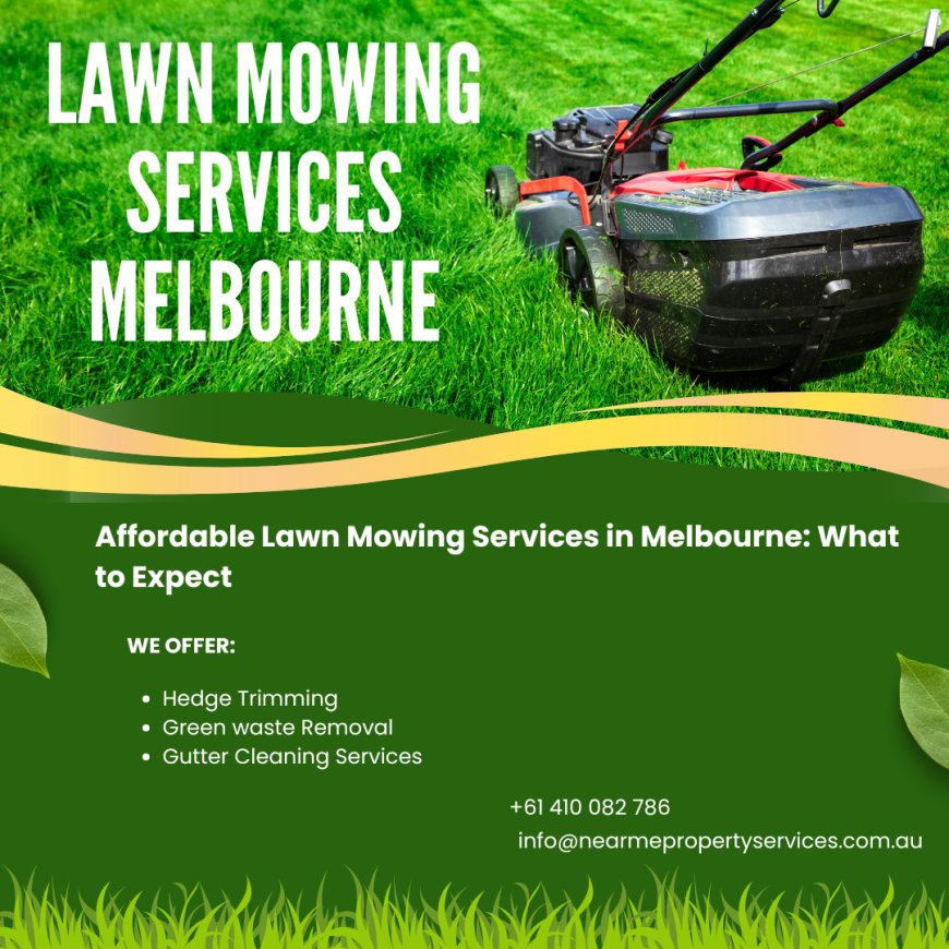 Affordable Lawn Mowing Services in Melbourne: What to Expect