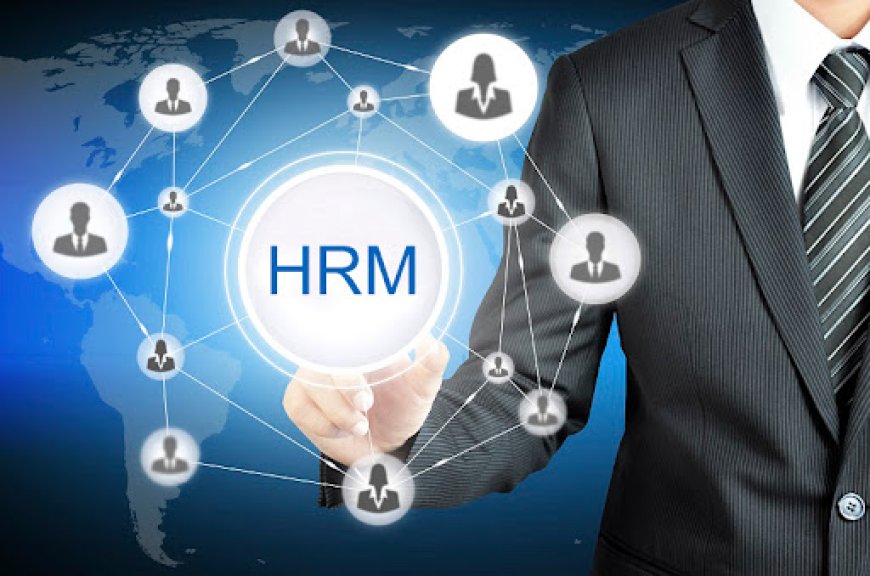 How HR Management Software is Transforming the Business Environment