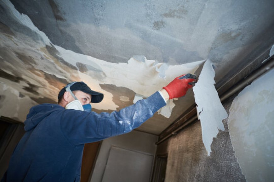 7 Steps in the Fire Damage Restoration Process