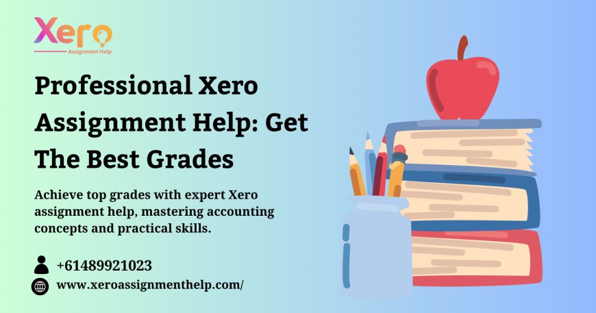 Professional Xero Assignment Help: Get The Best Grades