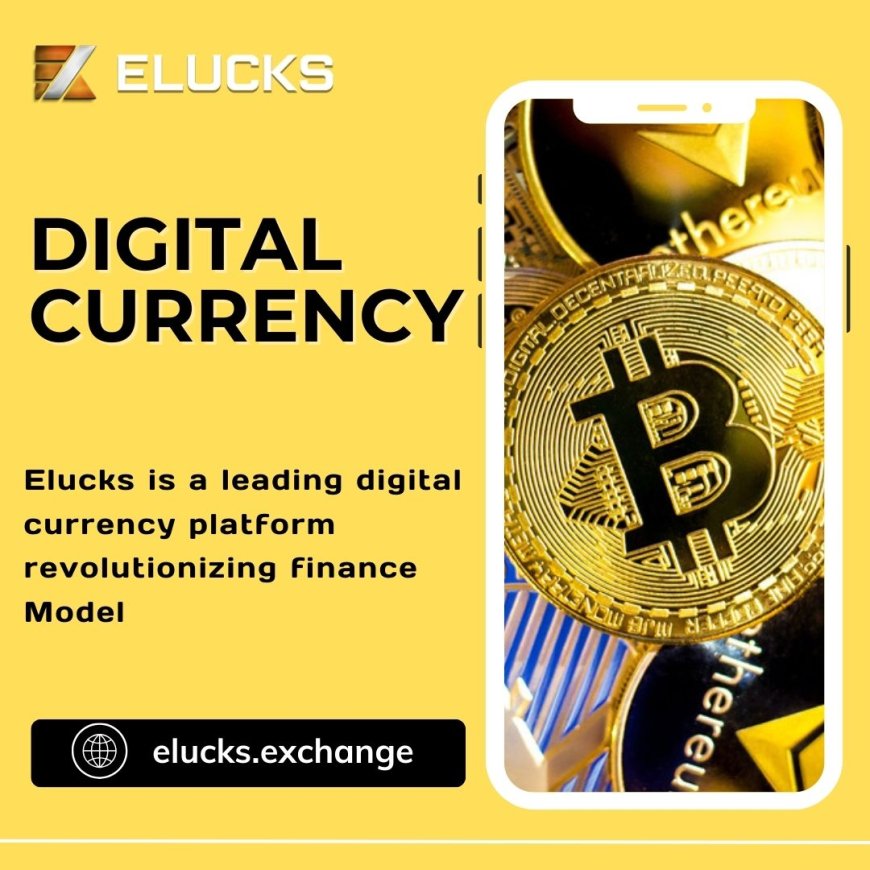 How to Make Money with ELUCKS: A Comprehensive Guide