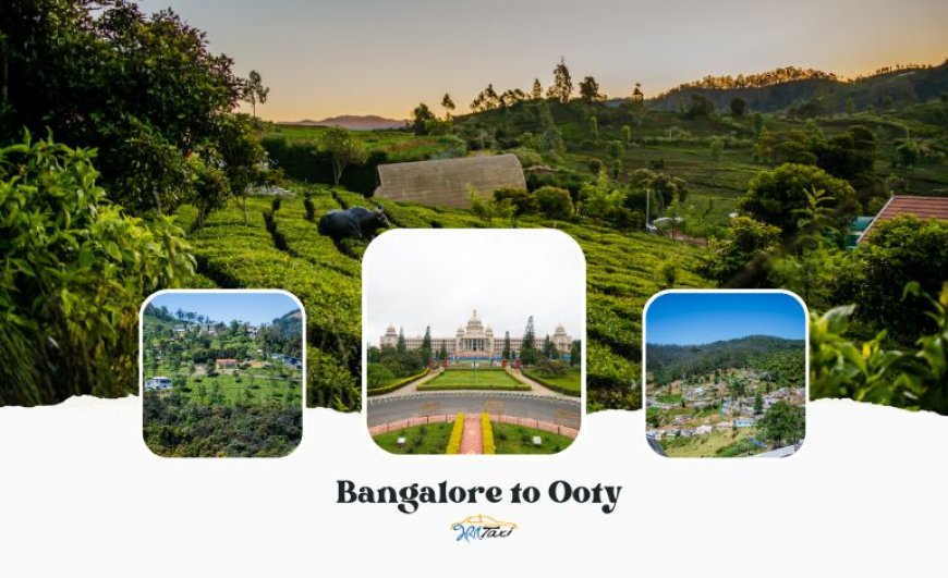 Planning A Memorable Road Trip From Bangalore To Ooty