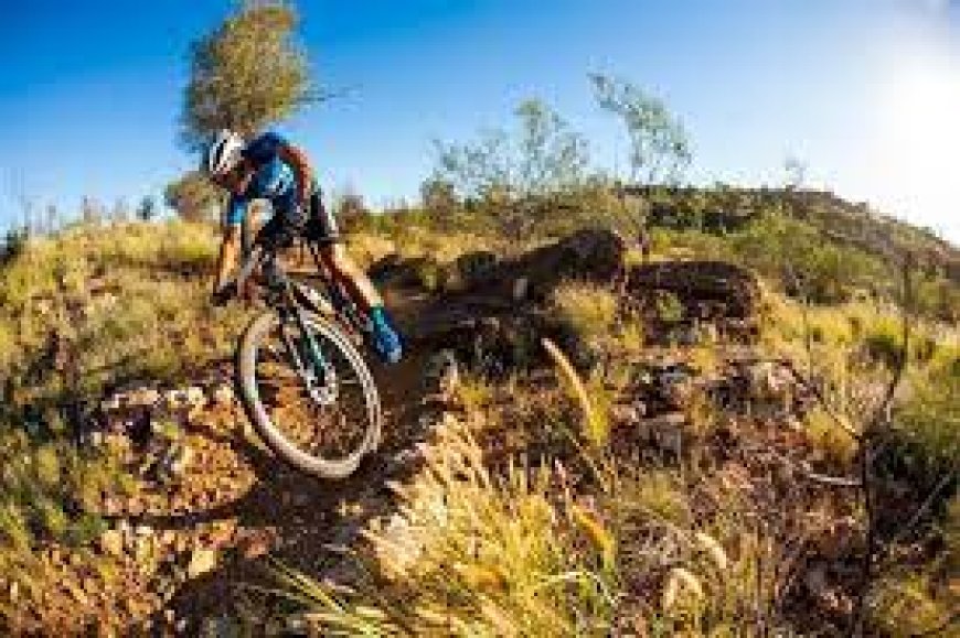 Embark on an Unforgettable Journey with MTB Adventure