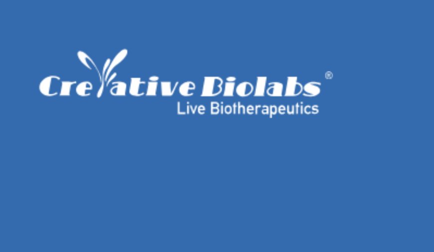 Promising Strategies for Live Biotherapeutic Products Targeting Obesity