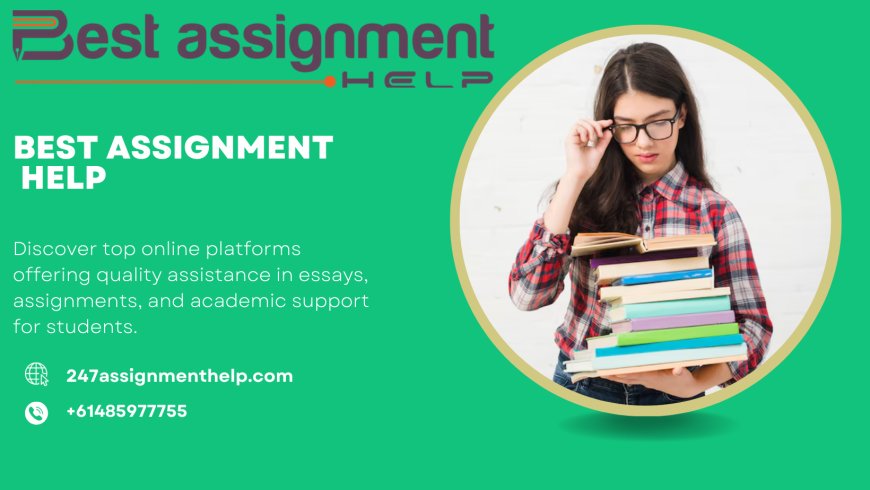 Best Assignment Help for Better Understanding