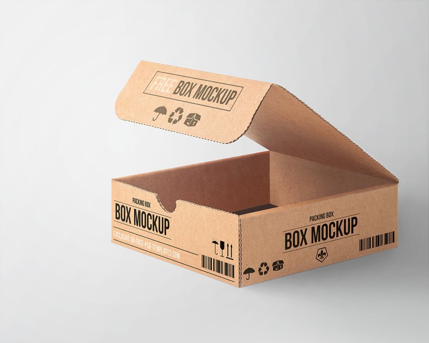 The Surprising Sustainability of Cardboard Boxes