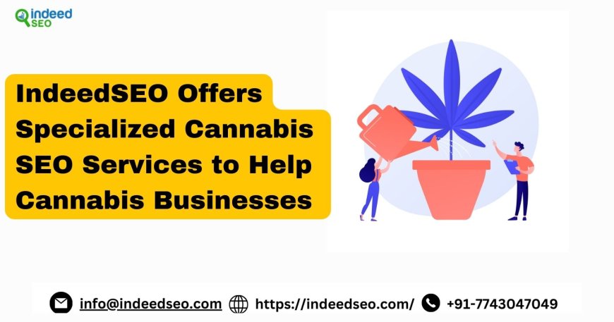 Mobile SEO for Cannabis Websites: Essential Tips for 2024