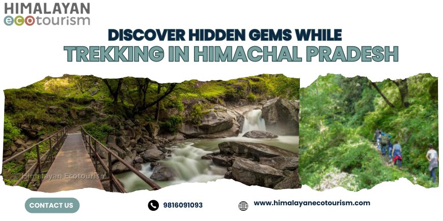 Your Premier Choice for Trekking in Himachal Pradesh : Himalayan Ecotourism (Heco)