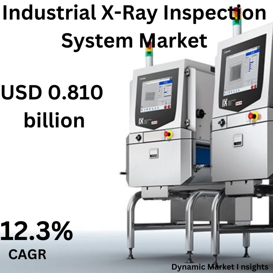 Insights into the Global Industrial X-Ray Inspection System Market: Trends and Forecasts 2031.