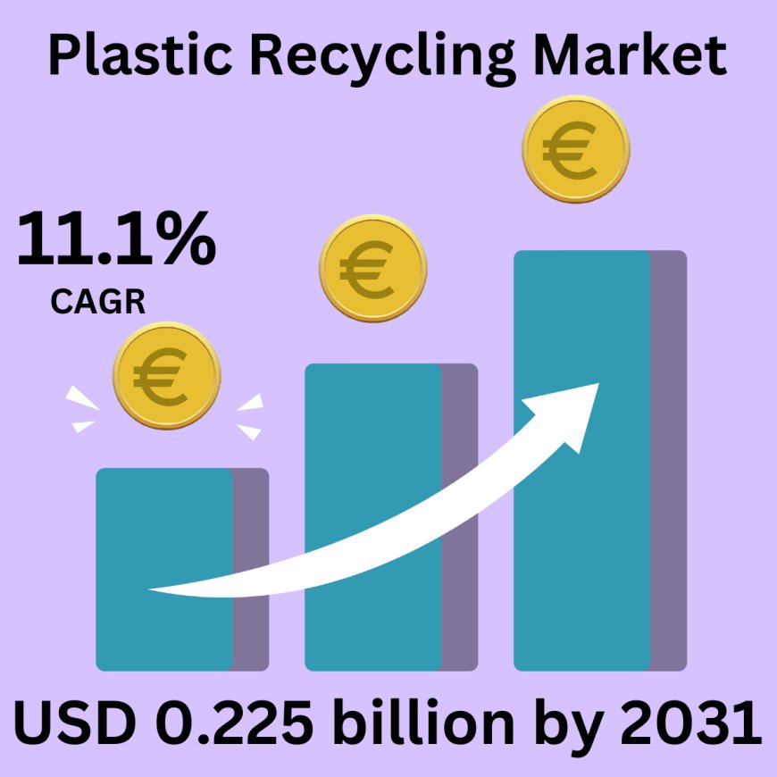 Transforming Waste into Wealth: The Economics of Plastic Recycling.