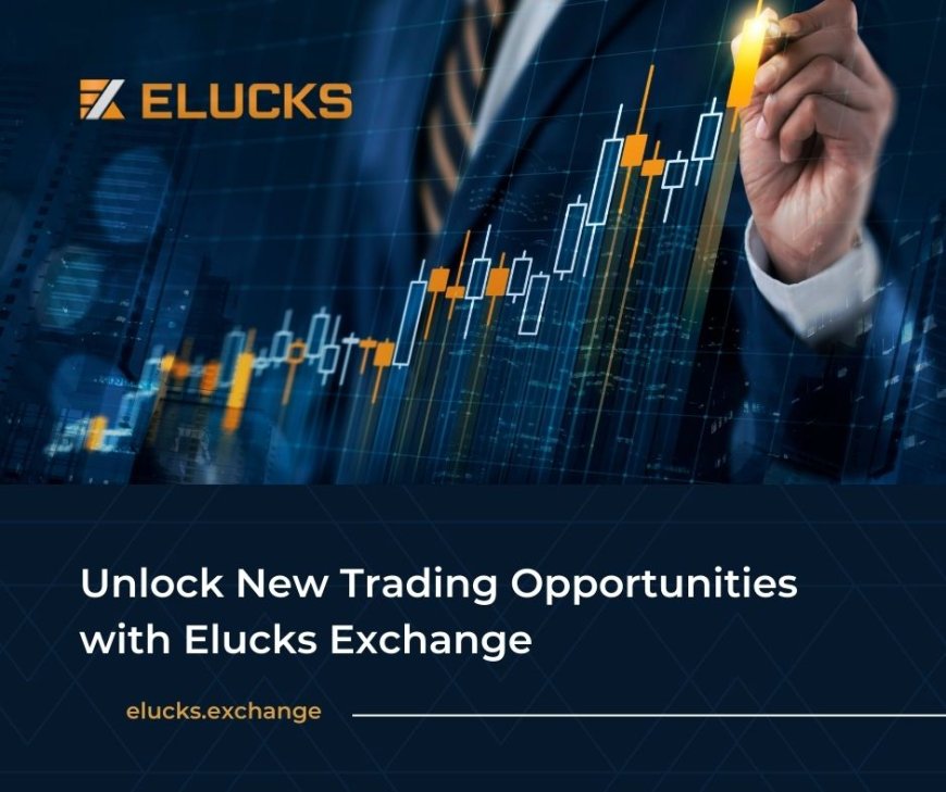 Exploring Crypto-to-Crypto Pairing Dynamics on Elucks Exchange