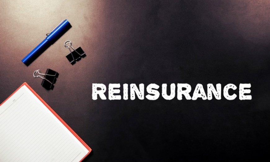 United States Reinsurance Market Share, Industry Growth, Outlook, & Report 2024-2032