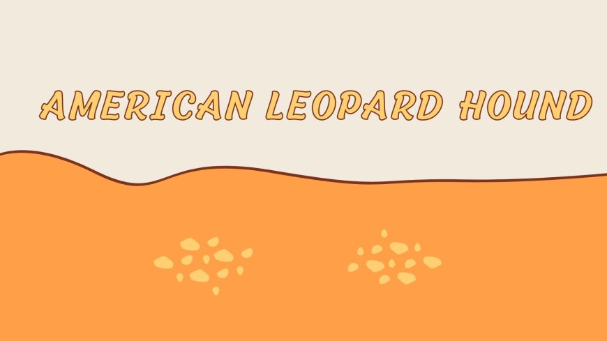 The Versatile American Leopard Hound: From Hunting Companion to Family Pet