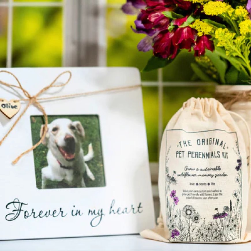 Pay Tribute to a Beloved Pet with Pet Loss Sympathy Gifts