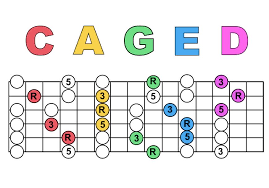 Exploring the Concept of Being Caged: Freedom and Confinement