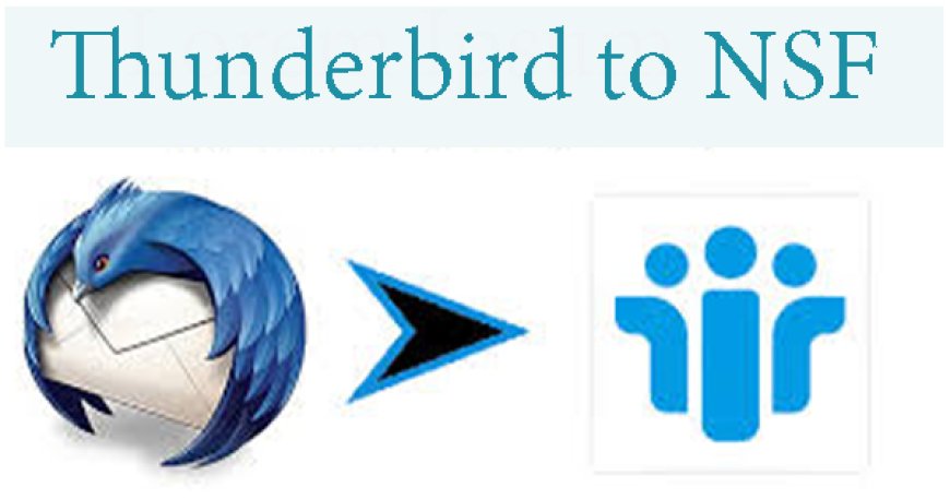 Best Solution to Move Thunderbird Mail Folders to Lotus Notes NSF