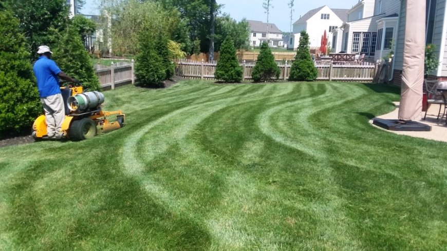 Eco-Friendly Lawn Care: Sustainable Practices for a Greener Lawn