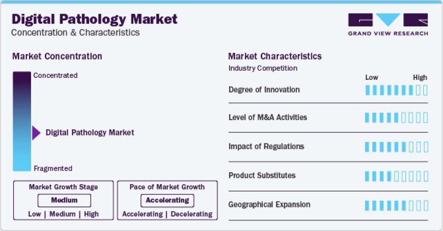 Digital Pathology Market: Transforming the Future of Pathology Education and Training