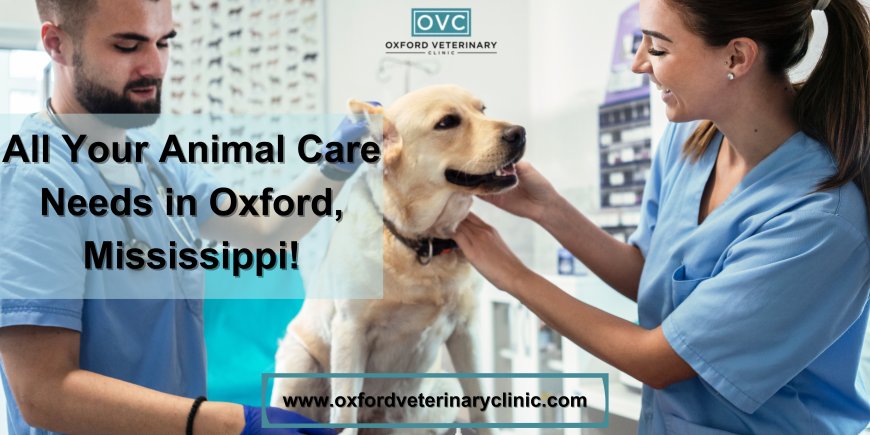 All Your Animal Care Needs in Oxford, Mississippi!