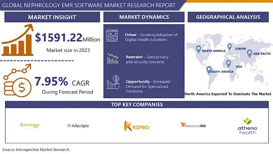 Nephrology EMR Software Market, Size, Share, Growth to Reach USD 3167.63 Million by 2032 | IMR