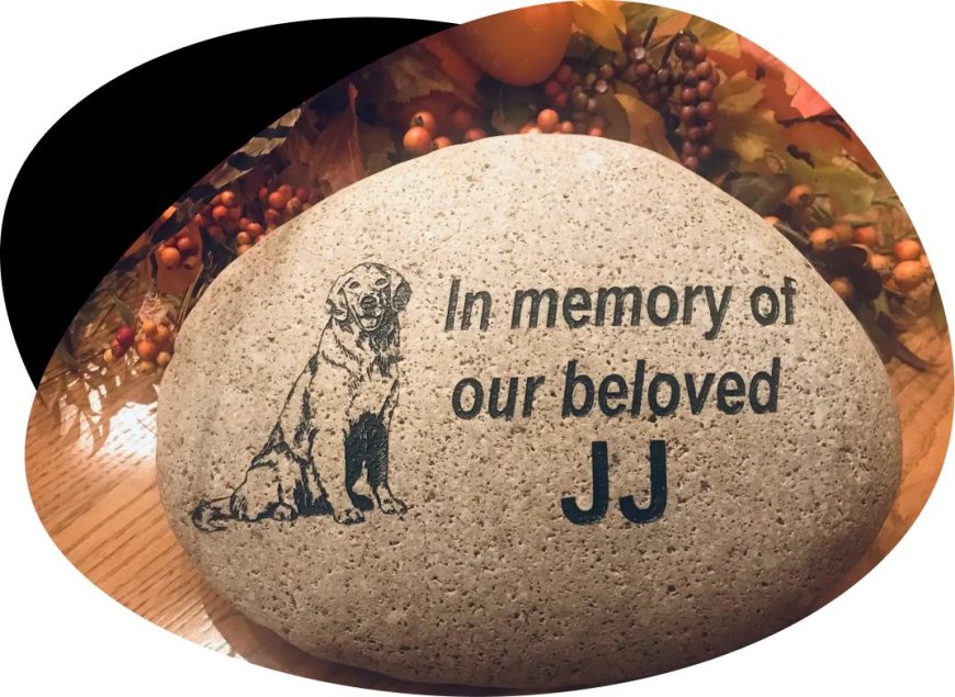 How Do Personalized Rocks Enhance a Garden or Outdoor Space?