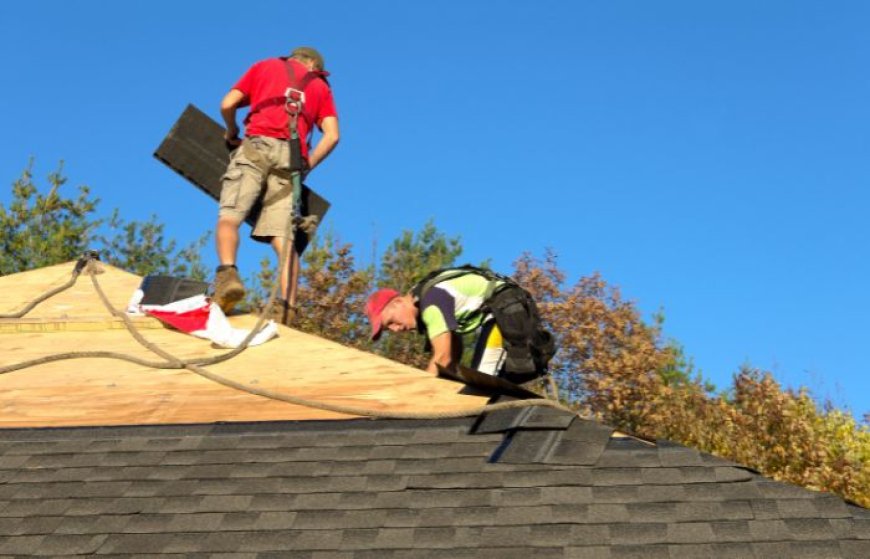 How to Find the Best Local Roofing Company for Your Roofing Project