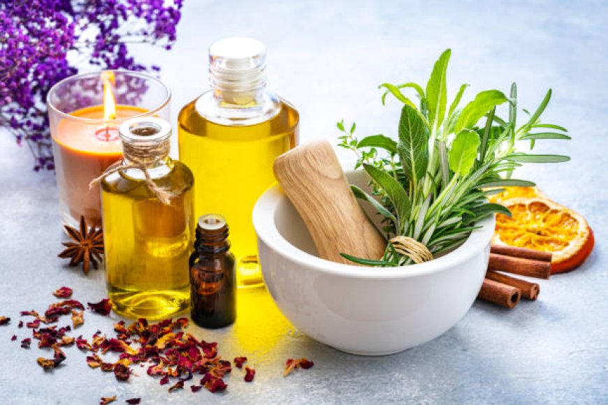 Germany Herbal Extracts Market  Size, Segmentation, Share and Forecast 2032