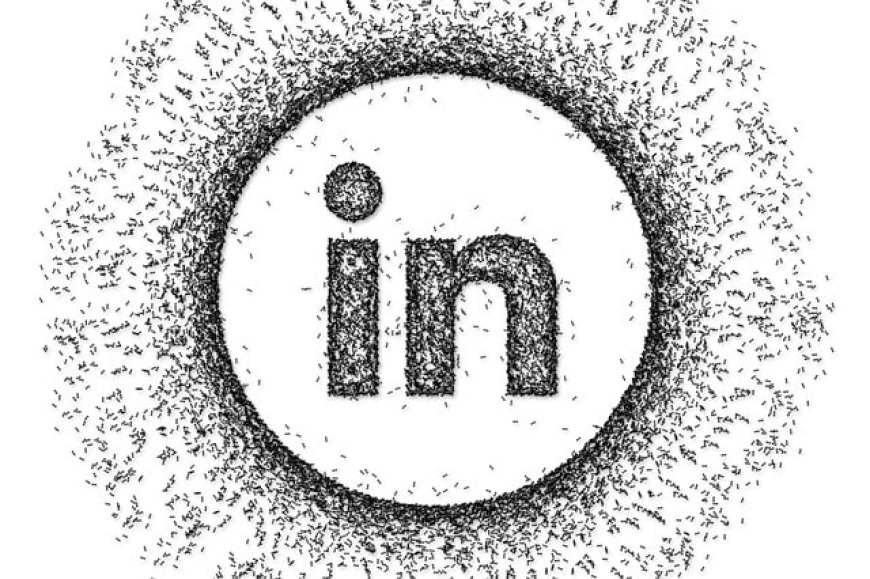 Harness the Power of LinkedIn Marketing Services in India