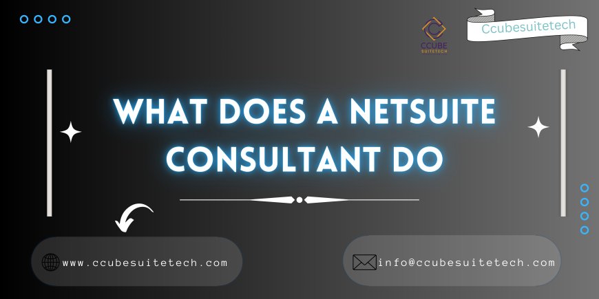 What Does a Netsuite Consultant Do in USA